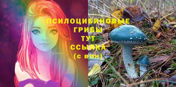 дурь Аркадак