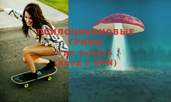 прущая мука Арсеньев