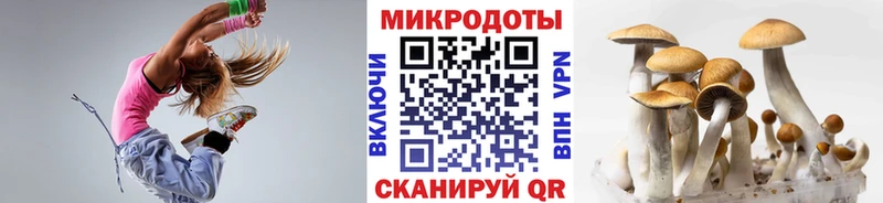 OMG как зайти даркнет сайт Калач Галлюциногенные грибы мицелий